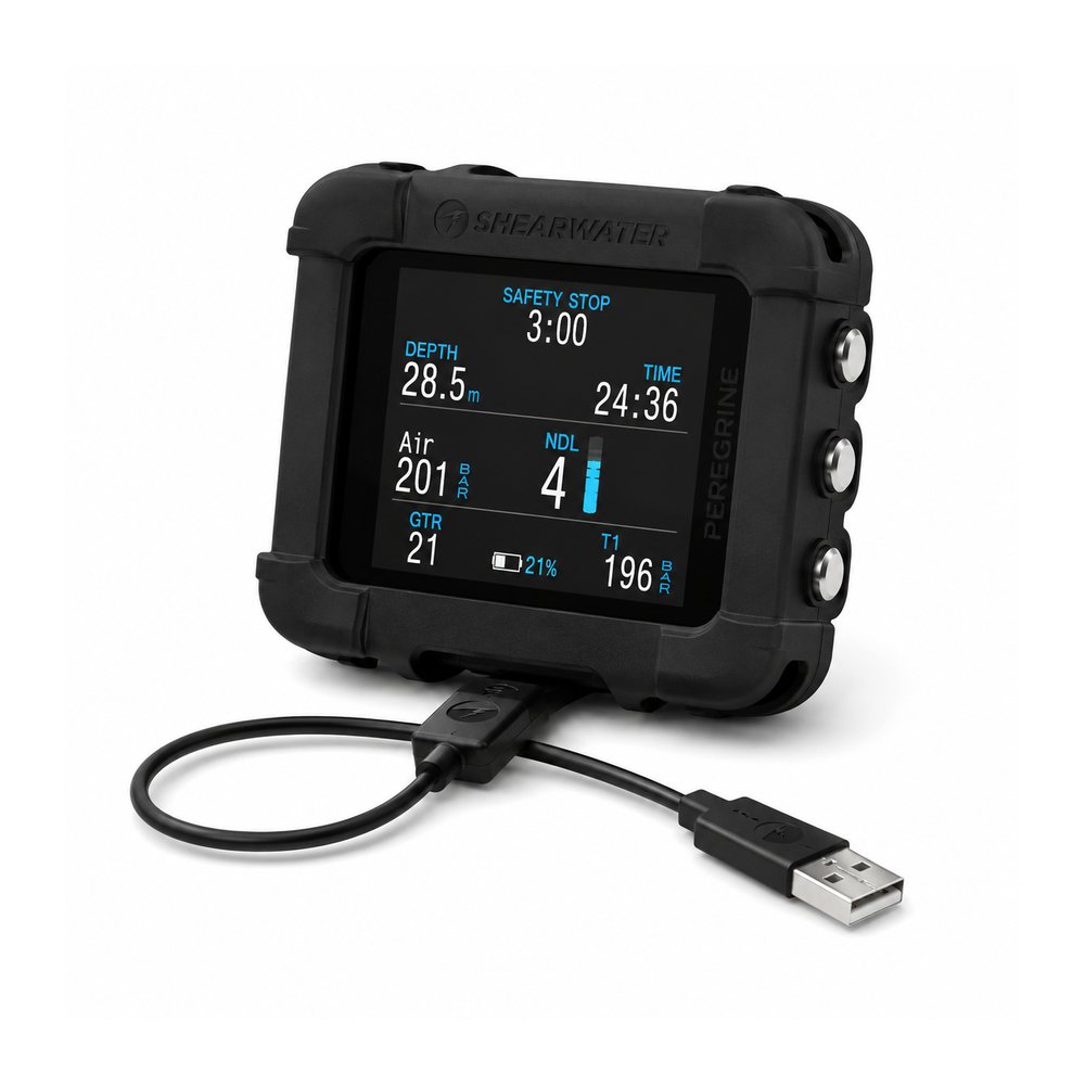 Wrist dive computer with protective bumper guard and USB-C charge cable